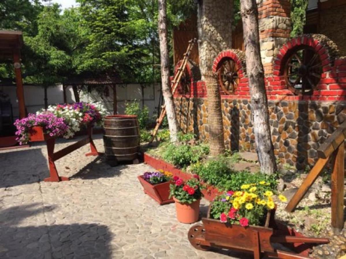 Hotel Casa Romaneasca Otopeni Exteriör bild